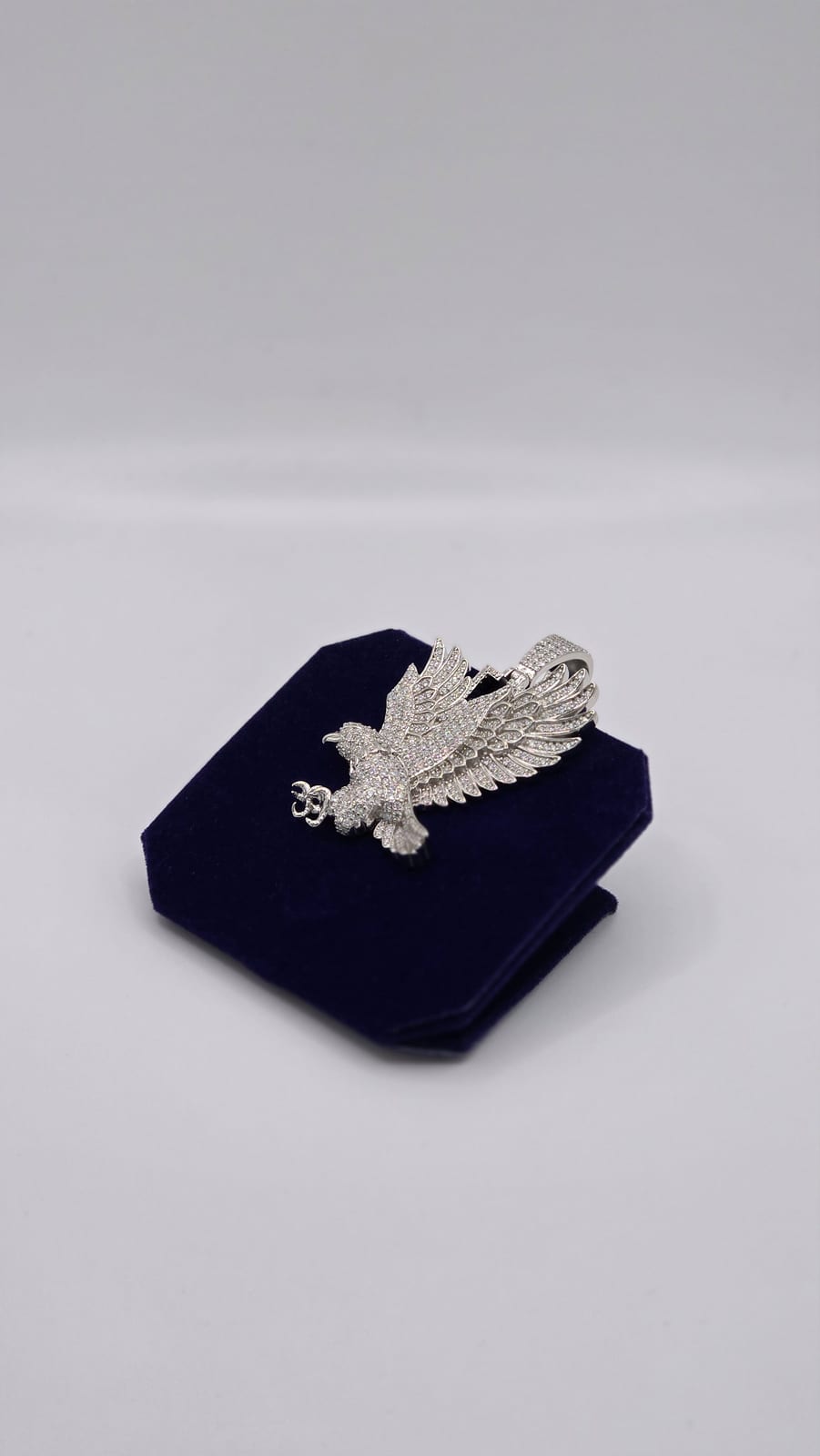 The Soaring Eagle - Image 4